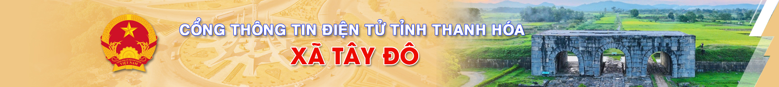 image banner